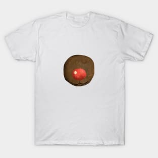 Rudolph T-Shirt